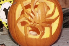 HAMCK halloween 28.10. 17  (56)