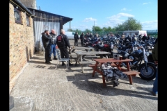 maz run on 2013   (10)