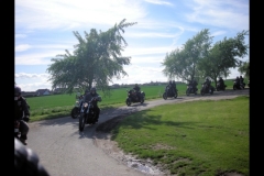 maz run on 2013   (20)