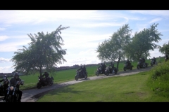 maz run on 2013   (21)
