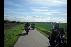 maz run on 2013   (23)