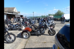 maz run on 2013   (3)