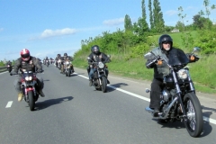 maz run on 2013   (31)
