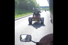 maz run on 2013   (35)