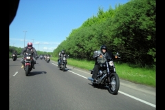 maz run on 2013   (36)