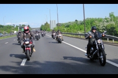 maz run on 2013   (41)