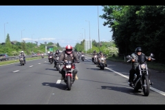maz run on 2013   (42)