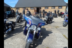 maz run on 2013   (6)