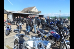 maz run on 2013   (7)