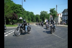 MAZ MEMORIAL RUN 26.05.2012   (150)