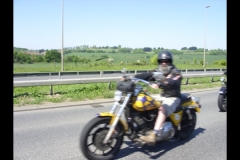 MAZ MEMORIAL RUN 26.05.2012   (24)