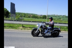 MAZ MEMORIAL RUN 26.05.2012   (27)