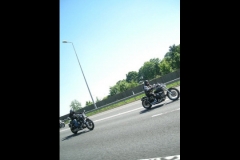 MAZ MEMORIAL RUN 26.05.2012   (39)