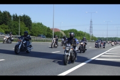 MAZ MEMORIAL RUN 26.05.2012   (47)