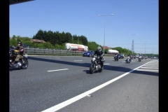 MAZ MEMORIAL RUN 26.05.2012   (48)
