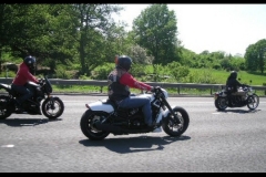 MAZ MEMORIAL RUN 26.05.2012   (50)