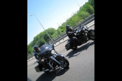 MAZ MEMORIAL RUN 26.05.2012   (52)