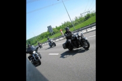 MAZ MEMORIAL RUN 26.05.2012   (53)