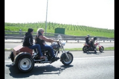MAZ MEMORIAL RUN 26.05.2012   (55)