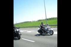 MAZ MEMORIAL RUN 26.05.2012   (56)