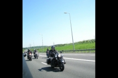 MAZ MEMORIAL RUN 26.05.2012   (57)