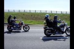 MAZ MEMORIAL RUN 26.05.2012   (71)