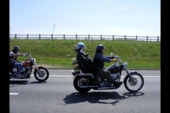 MAZ MEMORIAL RUN 26.05.2012   (72)