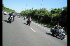 MAZ MEMORIAL RUN 26.05.2012   (80)