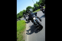 MAZ MEMORIAL RUN 26.05.2012   (94)