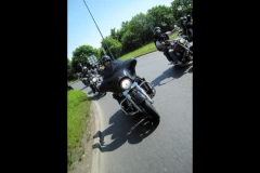 MAZ MEMORIAL RUN 26.05.2012   (95)