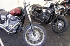 BULLDOG BASH 2011   (87)