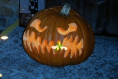 HAMCK halloween 29th oct 2016  (59)