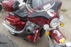 FYP 2016 BIKES  (96)