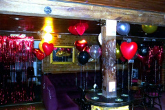 HAMCK-VALENTINE-AND-HELENS-6OTH-PARTY-8TH-FEB-2025-41