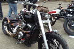 KCBS-2021-GUEST-PICS-21